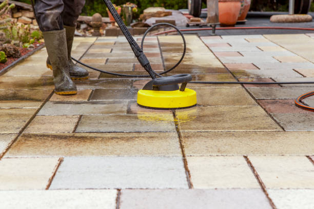 Best Animal Enclosure Cleaning  in Marion, WI